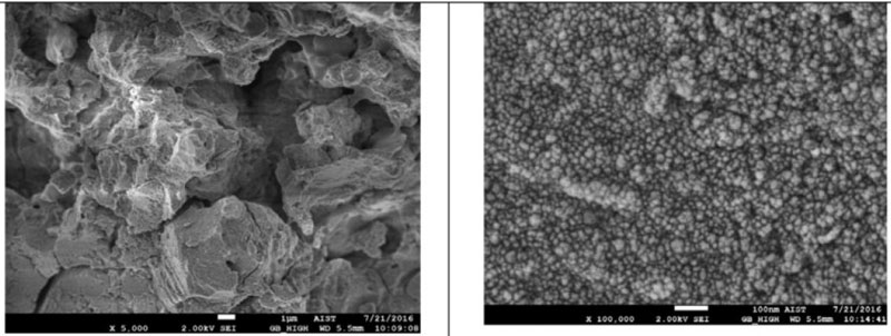 Hình 4. ảnh SEM sơn có thành phần tối ưu sau nung ở 800 oC