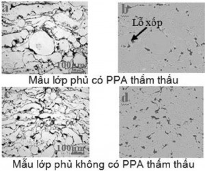 Hình 4. Ảnh hiển vi quang học mặt cắt ngang của các mẫu lớp phủ có và không có PPA thẩm thấu