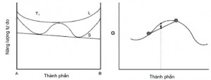 Hình 1. Đường cong  năng lượng - thành phần hệ có phân rã spinodal