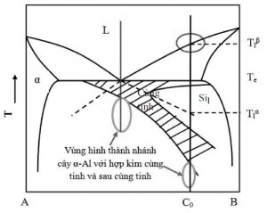 Hình 3. Vùng cặp đôi xiên (gạch chéo)