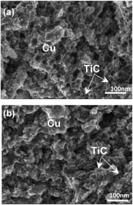 Fig. 4. Fracture surface of composites sintered at 800 °C (a) Comp. MN and (b) Comp. NN.