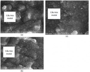 Hình 6. ảnh tổ chức  hợp kim Cu-15Ni-8Sn sau  đồng đều hóa ở 820 oC/3 h và hóa già ở 450 oC/2 h