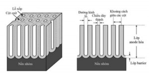 Hình 1. Sơ đồ cấu trúc dạng tổ ong (hình lục giác) của lớp anốt  hóa trên  nhôm  và mặt cắt dọc của các cột ôxit nhôm  [1].