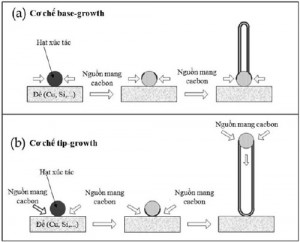 Hình 1. Mô tả cơ chế hình thành sợi nano cacbon sử dụng hạt xúc tác trên các đế vật liệu: (a) base-growth và (b) tip-growth