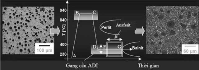 Xác định “Vùng cửa sổ” trong công nghệ chế tạo gang cầu Austempered ductile Iron (ADI) bằng phương pháp giãn nở nhiệt
