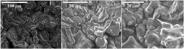 Hình 3. Ảnh SEM của mẫu quặng vê viên ở 1200 °C, 2 h.