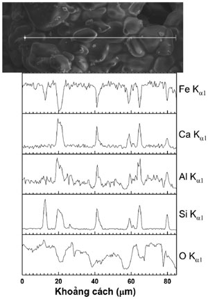 Hình 4. Hình thái hạt quặng và đường quét nguyên tố của mẫu ở 1200 °C, 2 h