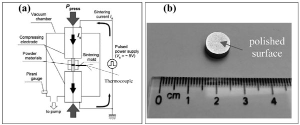 Bulk amorphous Ti-based alloy produced by spark plasma sintering